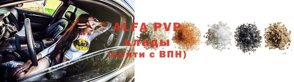 PSILOCYBIN Белоозёрский