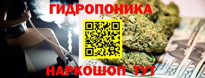прущие грибы Бийск