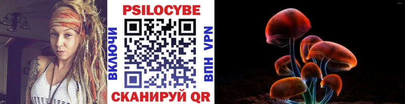 Галлюциногенные грибы Psilocybine cubensis  Бирск 